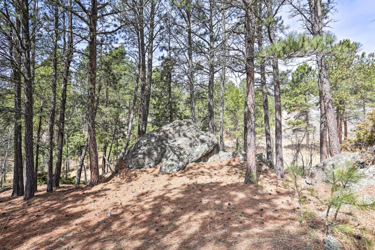Private Black Hills Home With Corral Horses Welcome Custer Exterior foto