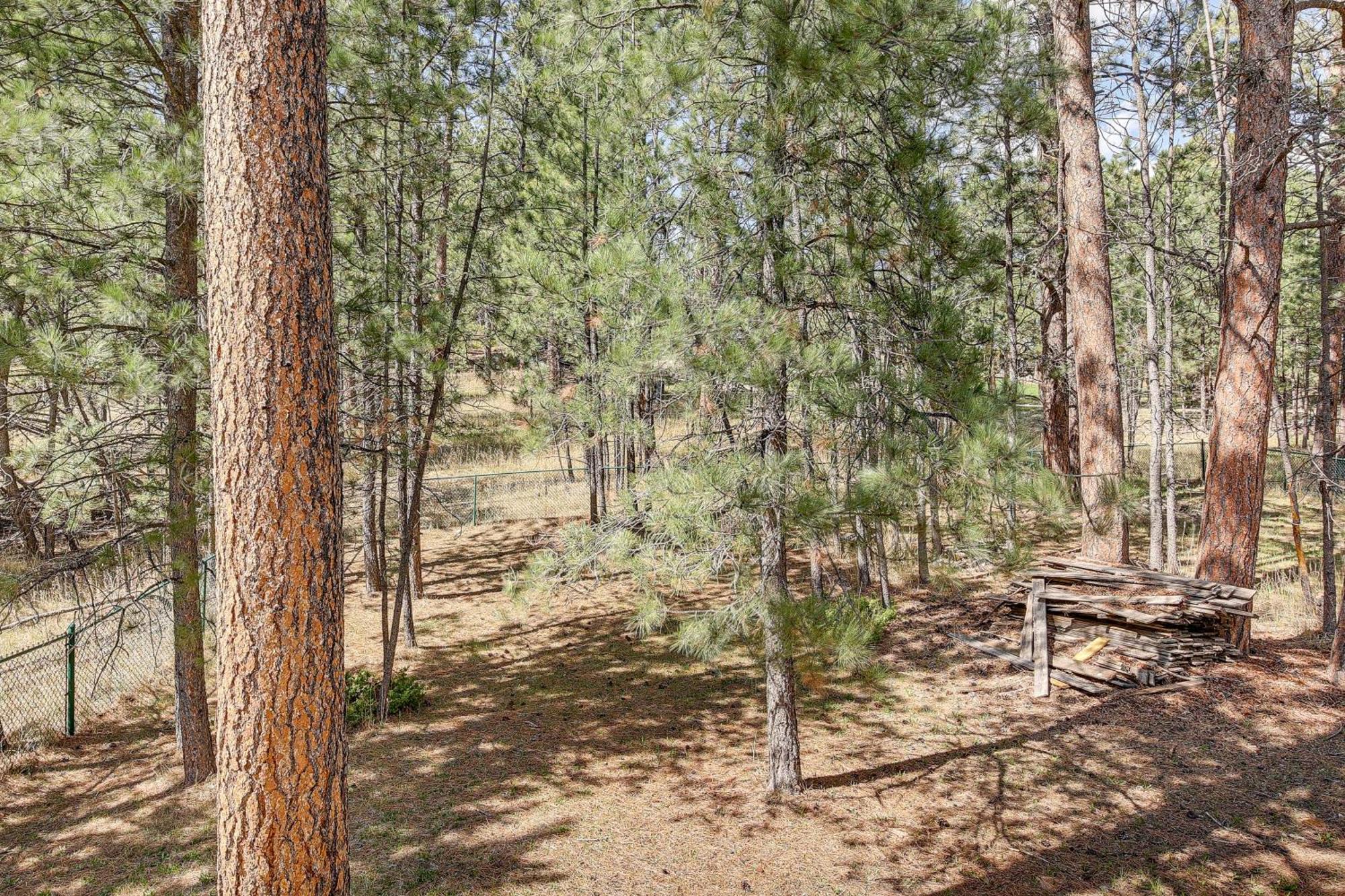 Private Black Hills Home With Corral Horses Welcome Custer Exterior foto